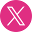 X (Twitter)